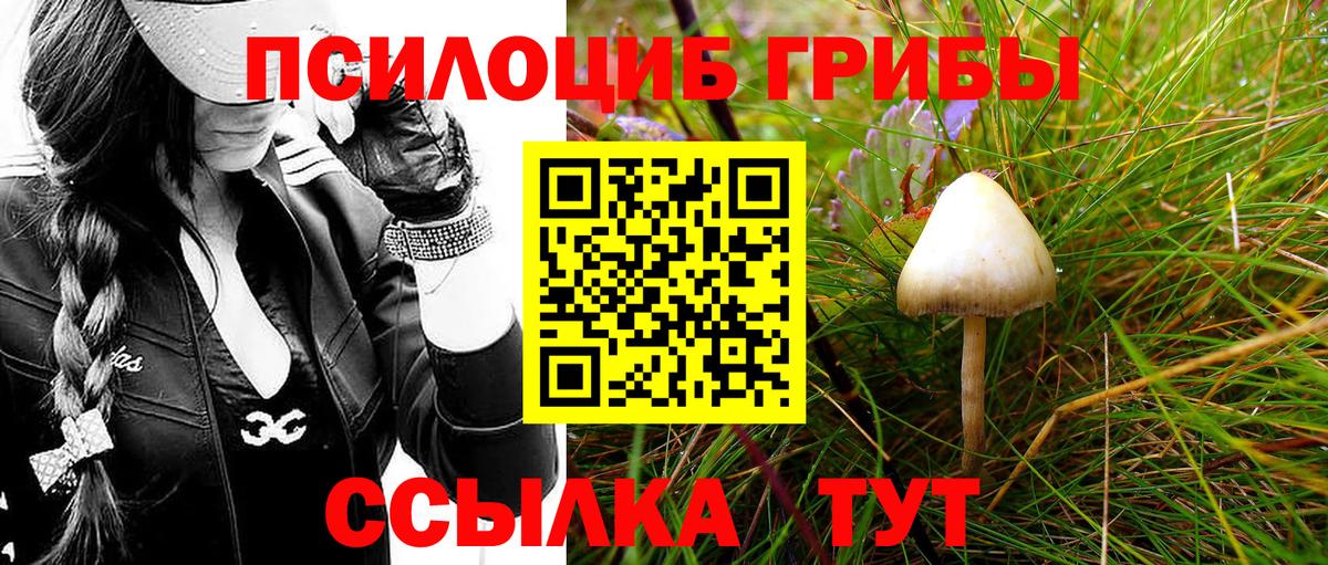 Галлюциногенные грибы Psilocybine cubensis  Вход с VPN  Сорочинск 