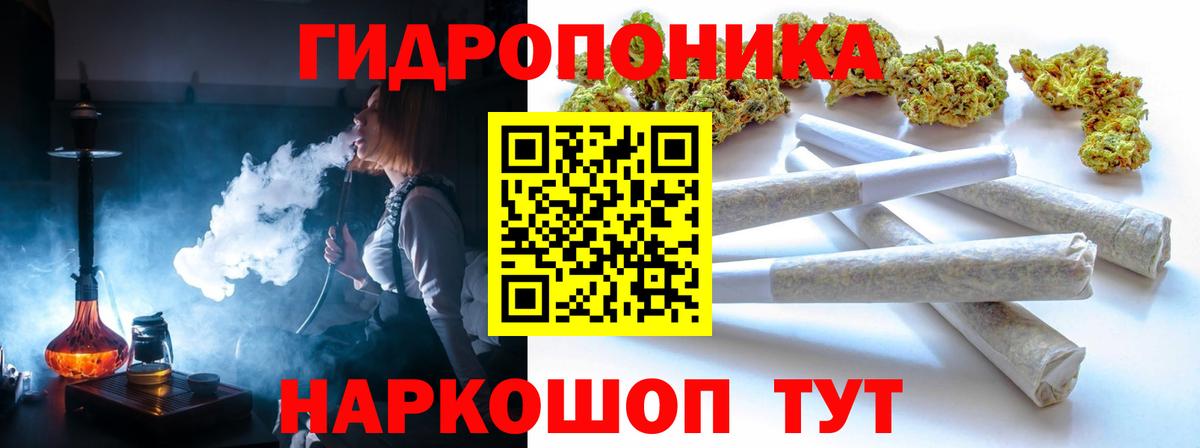 Каннабис сатива  Канабис семена  Бошки Шишки планчик  Вход с VPN  Сорочинск 